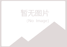 平阴县字迹咨询有限公司